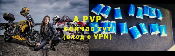 прущие грибы Зеленокумск