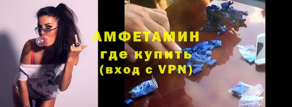 прущие грибы Зеленокумск