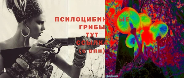 амф Зерноград