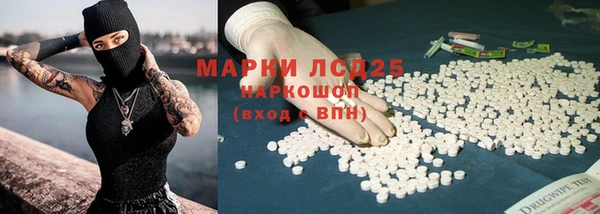 прущие грибы Зеленокумск