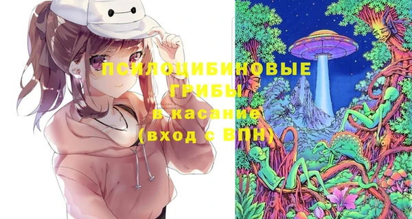 прущие грибы Зеленокумск